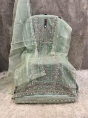 Grace in Every Layer – Premium Organza Suit with Delicate Zarkan Work