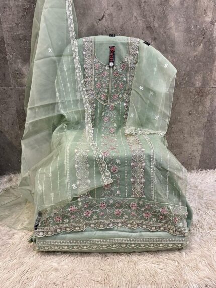 Grace in Every Layer – Premium Organza Suit with Delicate Zarkan Work