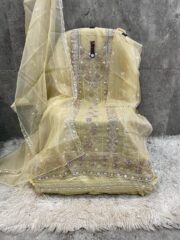 Grace in Every Layer – Premium Organza Suit with Delicate Zarkan Work - Image 5